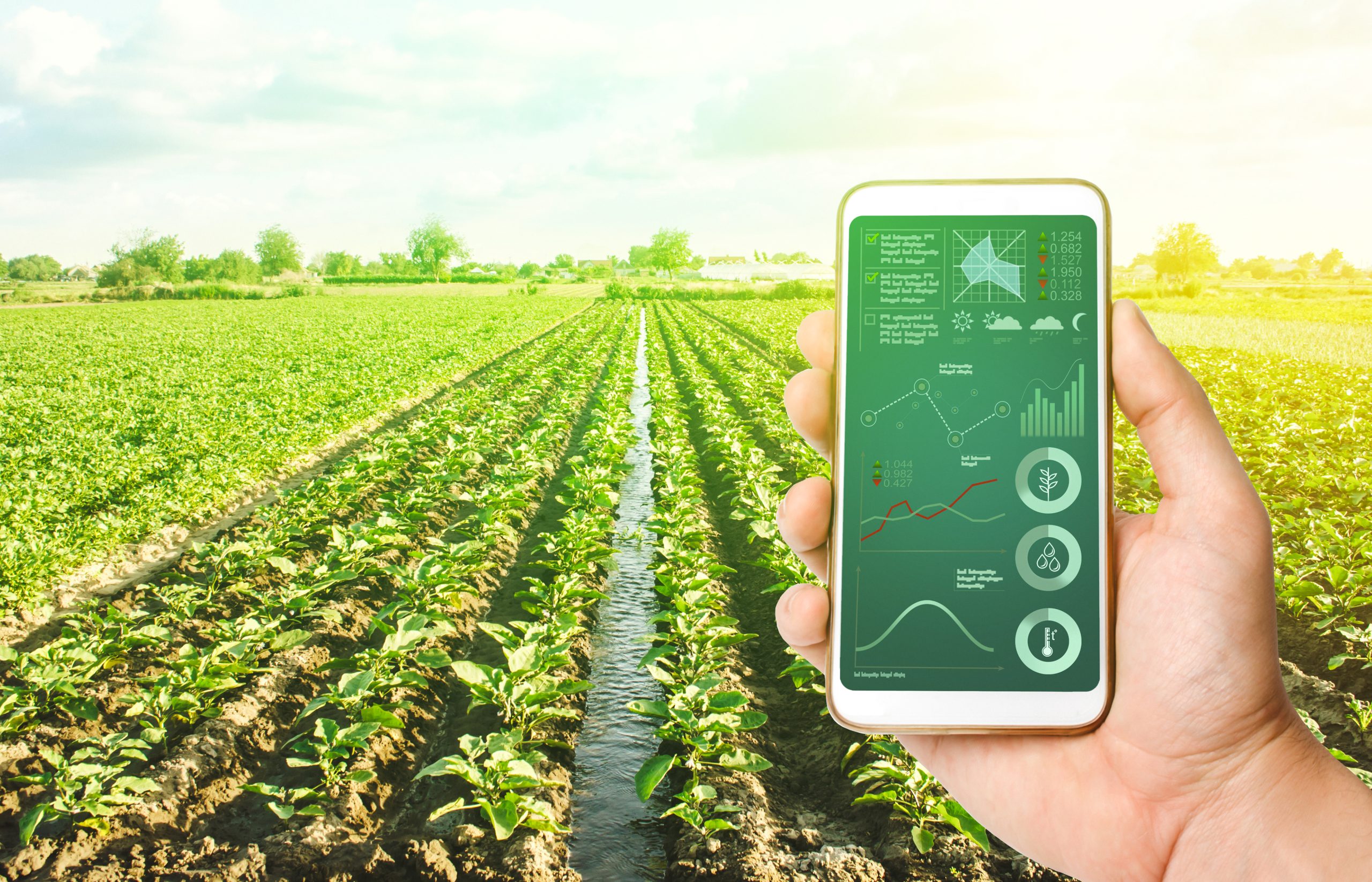 Technology in agribusiness a success story